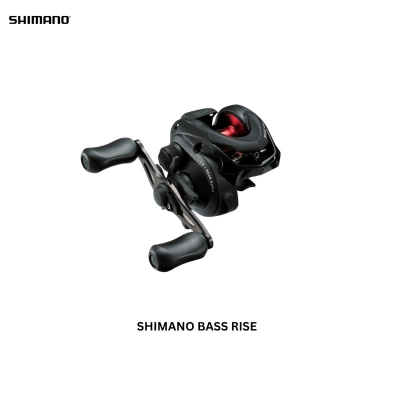 SHIMANO BASS RISE BAITCASTING REEL