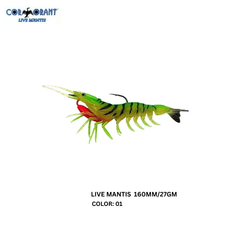 CORMORANT LIVE MANTIS SHRIMPS - 160MM/27GM